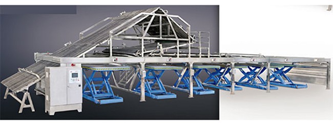 Wet-Blue Sorter
